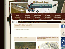 Tablet Screenshot of billouttes.be